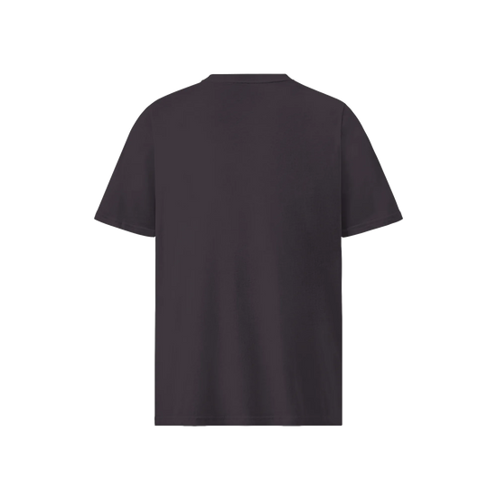 BJJ Ukiyo-e Skills Organic T-shirt - Samurai Original