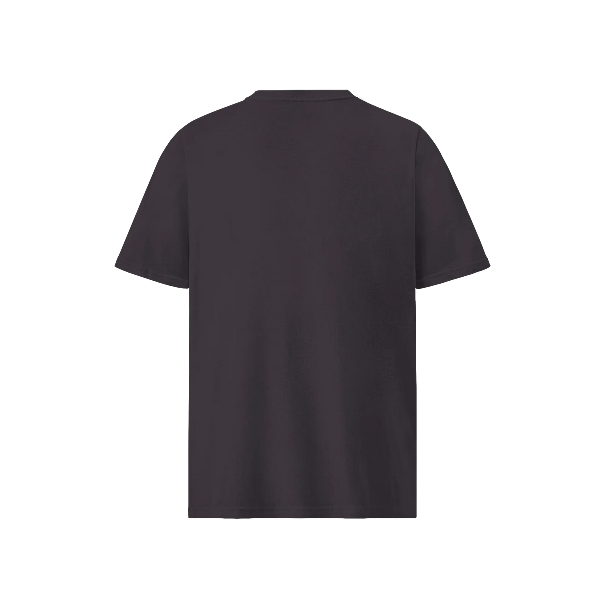 BJJ Ukiyo-e Skills Organic T-shirt - Samurai Original