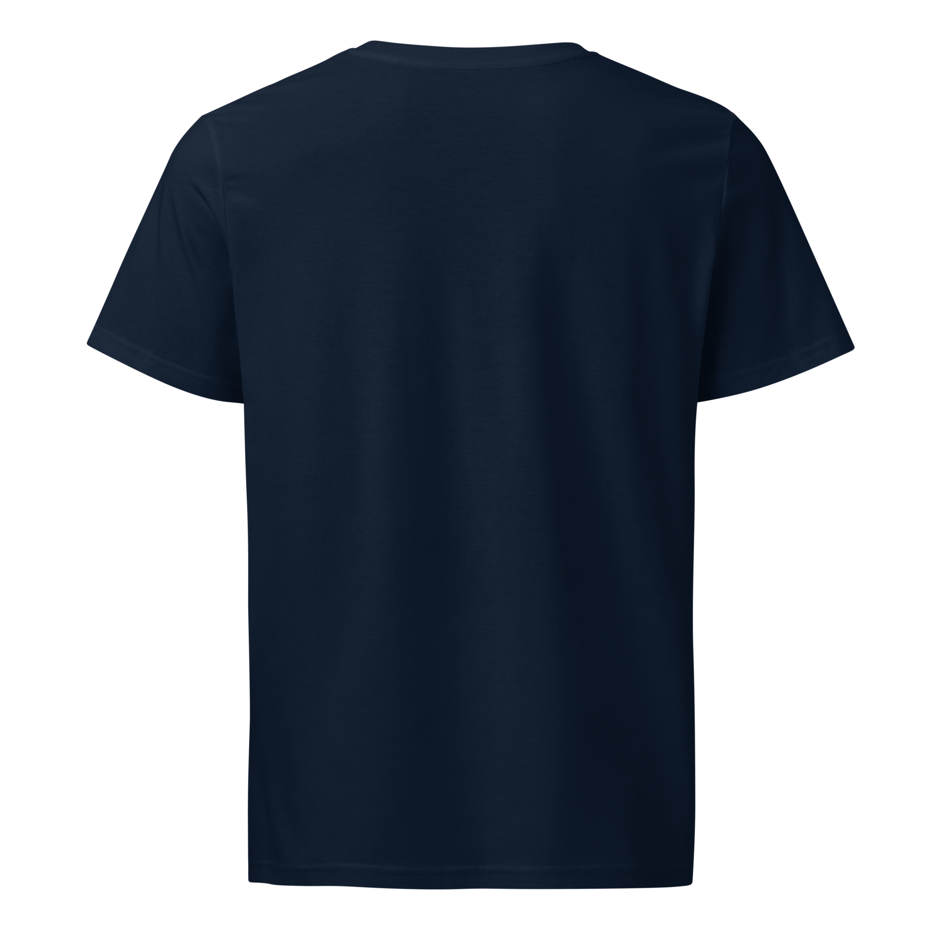 [Shipping to Montenegro] Ronin Guitar Blues O.rganic Mid-light Tee - Samurai Original