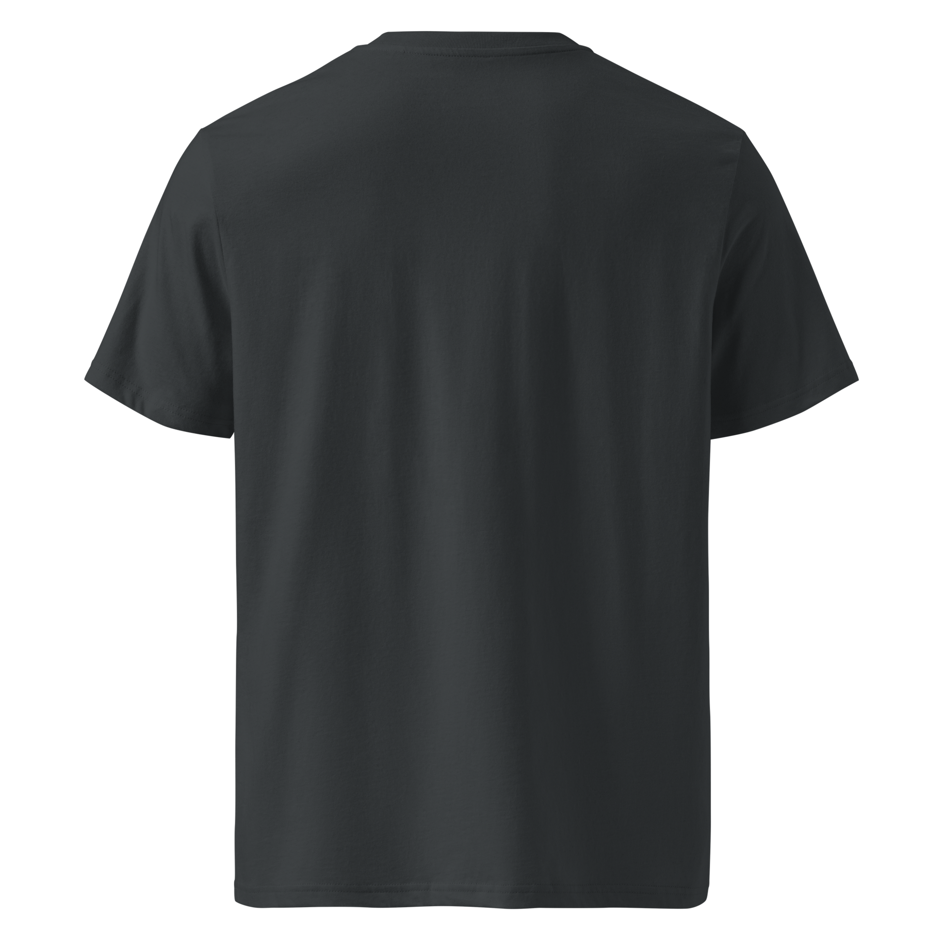 Ronin Guitar Blues Organic T-shirt - Samurai Original
